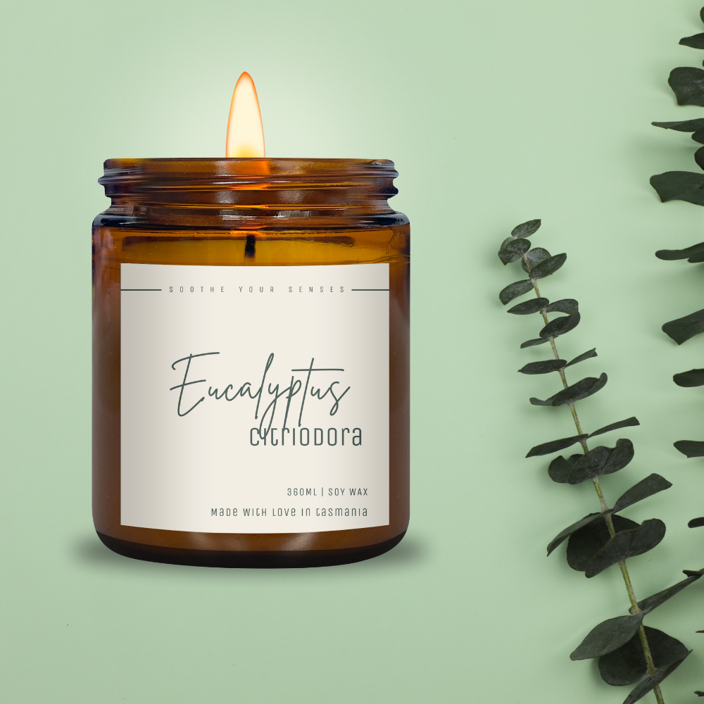 Eucalyptus Citriodora - Soy Candle