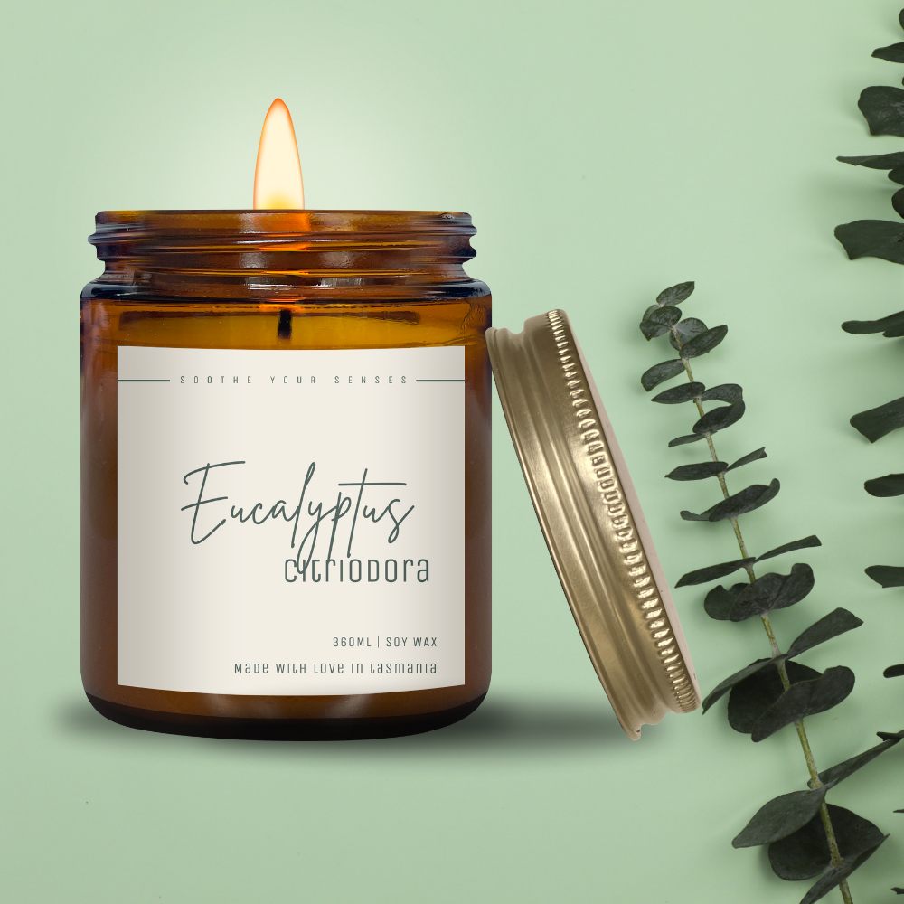 Eucalyptus Citriodora - Soy Candle